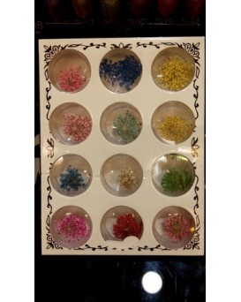 گل خشک طراحی ناخن